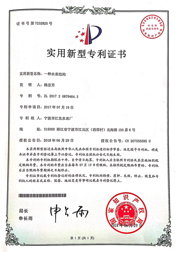 實用新型專利-水表結構